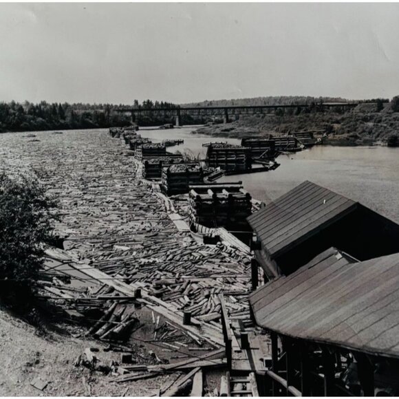 1950s Bangor Aroostook Railroad Real Photo Logging Bloom Mill Maine F11